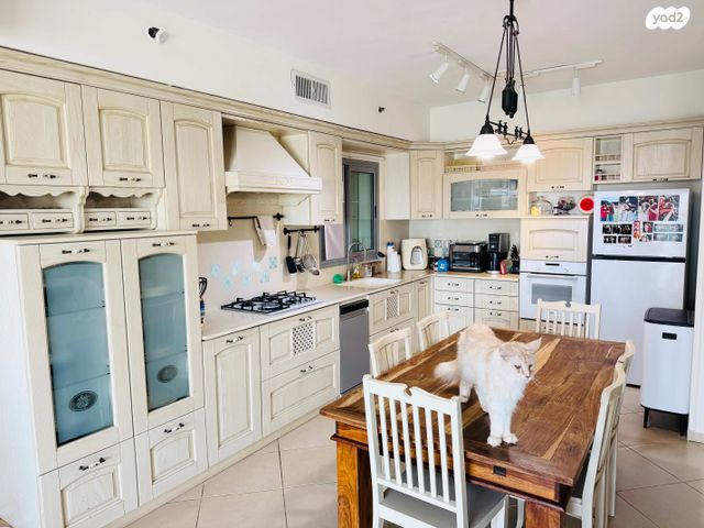 דירה, משה סנה, הדר המושבות החדשה / אם המושבות החדשה, פתח תקווה