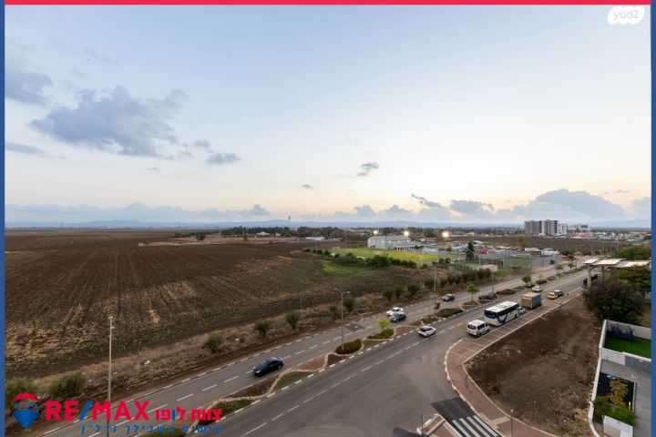 דירה, וולפסון, עפולה