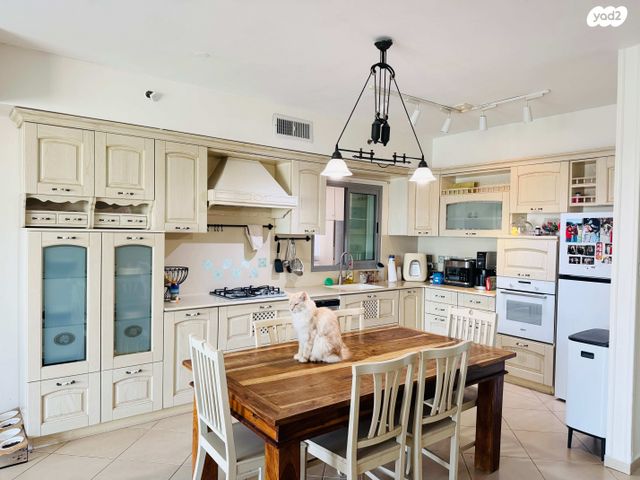 דירה, משה סנה, הדר המושבות החדשה / אם המושבות החדשה, פתח תקווה