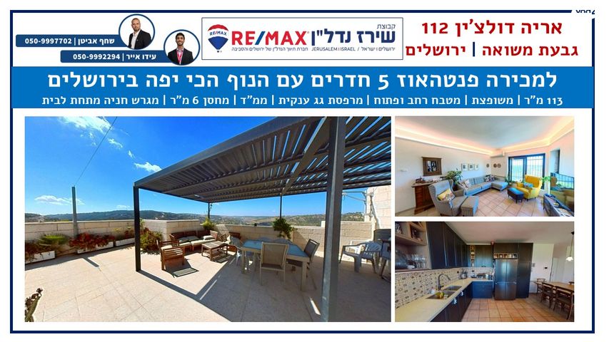 אריה דולצ'ין 112