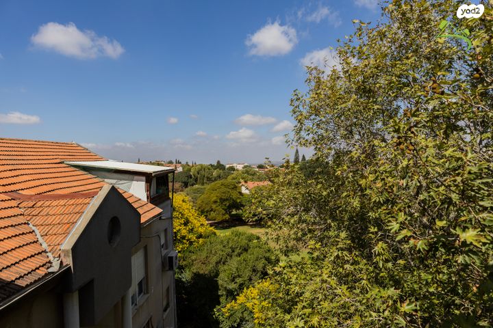 דופלקס, ששת הימים 16, אריאל