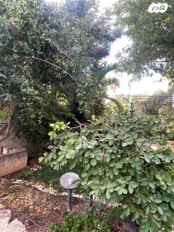 דו משפחתי, הרצליה