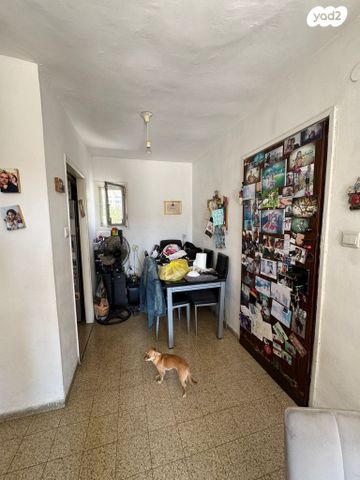 דירה, האביבית, ירושלים