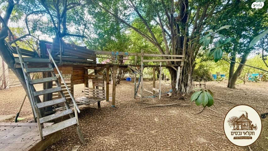 משק חקלאי/ נחלה, גבעת שפירא