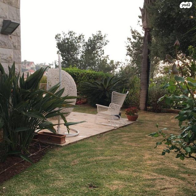 הוד הכרמל, דניה