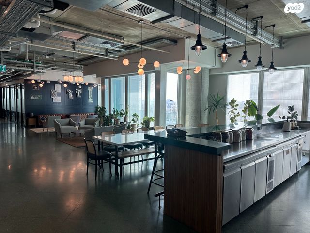 מוזס יהודה ונח 