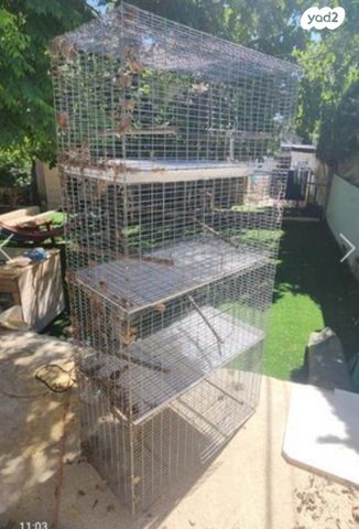 תמונת מודעה - חיות מחמד