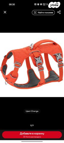 תמונת מודעה - חיות מחמד