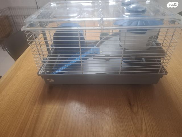 תמונת מודעה - חיות מחמד