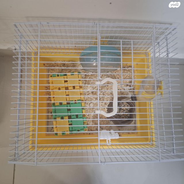 תמונת מודעה - חיות מחמד