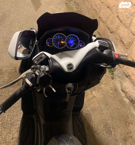 סאן יאנג ג'וי-מקס 300 XI