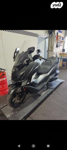 סאן יאנג קרוזים 300 אלפא