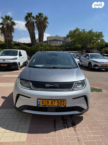 מודעת רכב בי.ווי.די דולפין