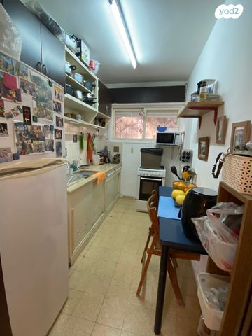 זלמן שניאור 45