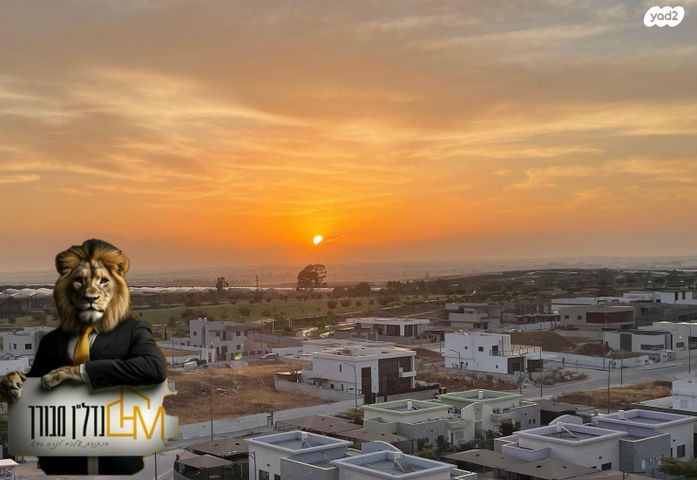 יהושוע אזולאי 8