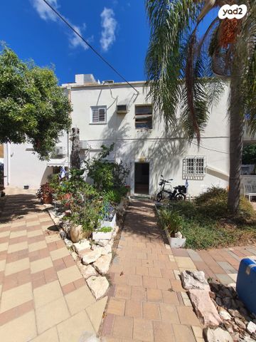 מתתיהו הכהן 3