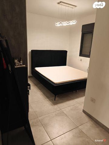 דירה, עץ המשאלות, אדמית / יערית, שלומי