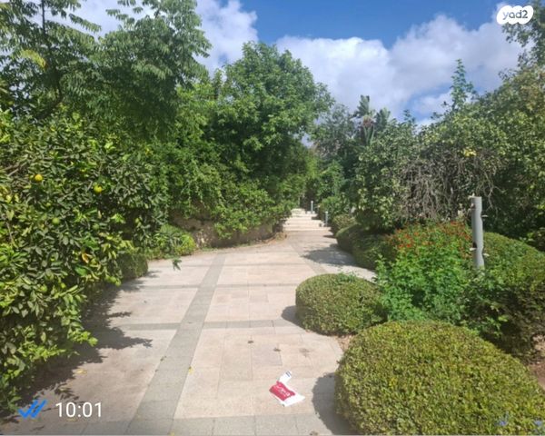 משק חקלאי/ נחלה, בית הלוי