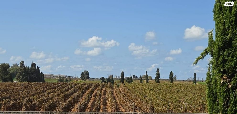 דירה, שדרות יצחק רבין, רמת אמיר, קדימה צורן