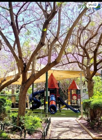 דירה, הקוקיה, נווה הדרים, ראשון לציון