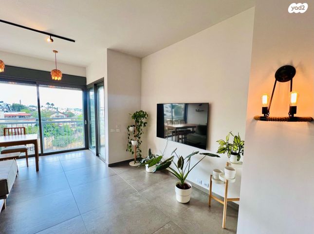 הרופא זלוצ'יסטי 