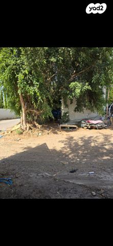 מחסנים, רינתיה