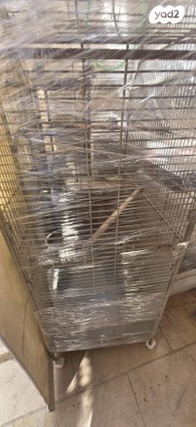 תמונת מודעה - חיות מחמד