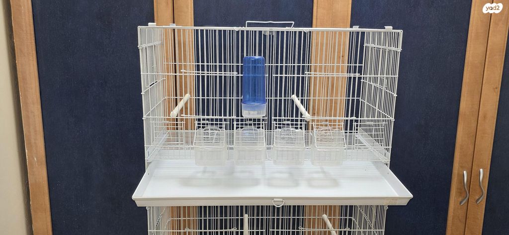 תמונת מודעה - חיות מחמד