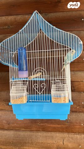 תמונת מודעה - חיות מחמד