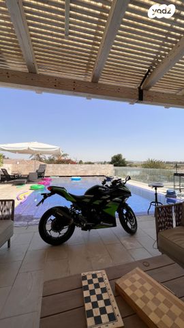 קאוואסאקי נינג'ה 300