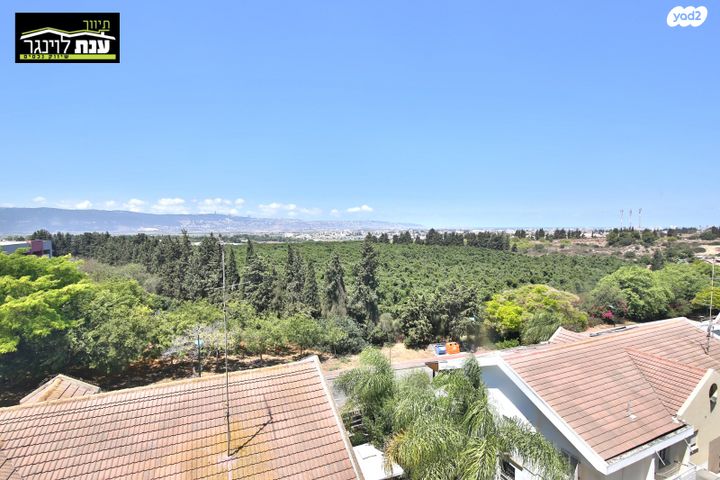 גג/ פנטהאוז, צבי הרר, גבעת רם, קרית אתא