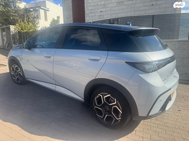 בי.ווי.די דולפין