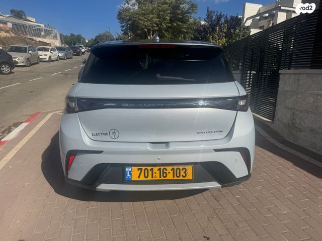 בי.ווי.די דולפין