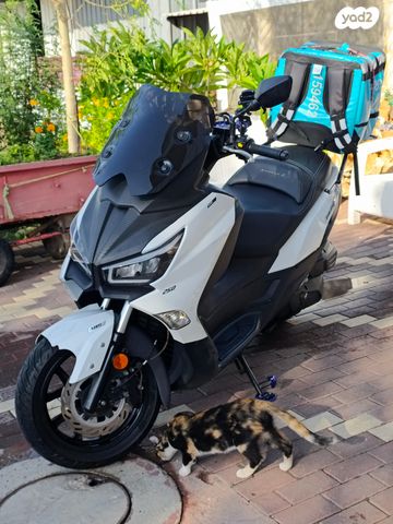 סאן יאנג ג'וי-מקס Z-250