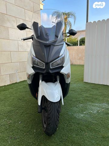 סאן יאנג ג'וי-מקס Z-300