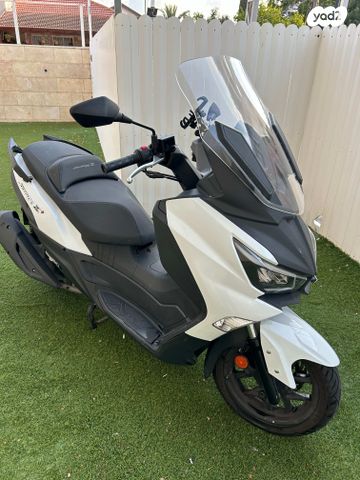 סאן יאנג ג'וי-מקס Z-300