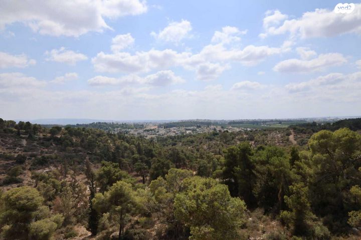 דירה, אורן 34, החורש, חריש