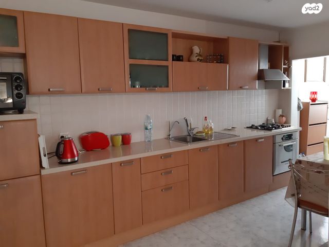 זלמן מייזל 8