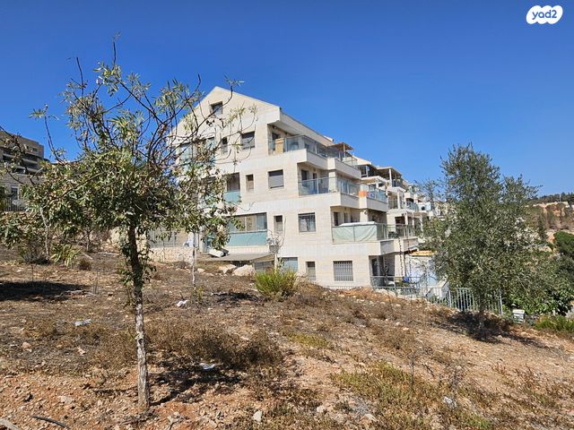 גג/ פנטהאוז, אנפה, סנסן, צור הדסה