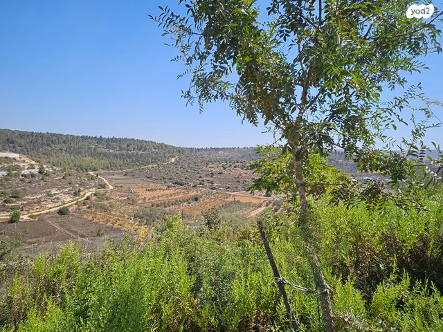 דירת גן, אנפה, סנסן, צור הדסה