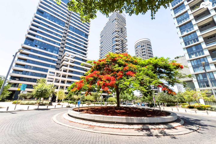 דירה, ניסים אלוני, צמרות איילון, פארק צמרת, תל אביב יפו