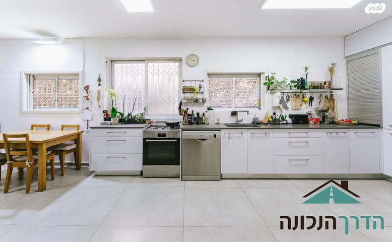 דוד וולפסון 