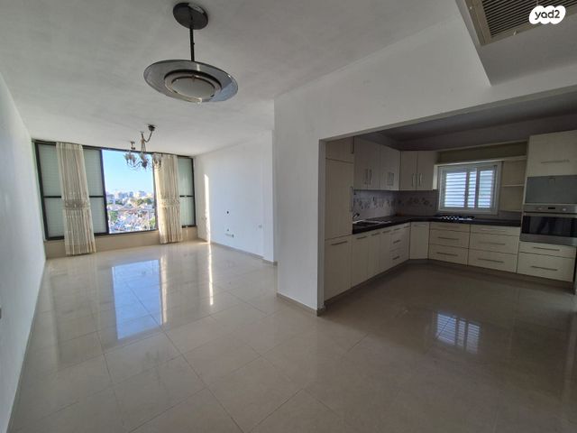 יהודה הלוי 24