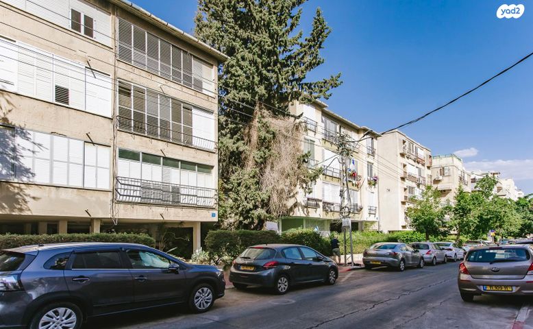 דירה, דוד וולפסון, רמז, מערב ותיק, ראשון לציון