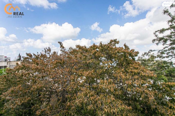 דירה, שדרות אליהו גולומב, הדר עליון, חיפה