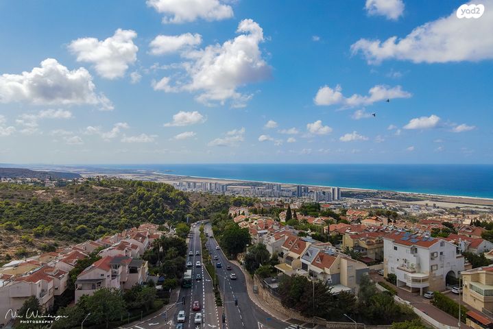 דירה, ראול ולנברג, רמת אשכול, חיפה