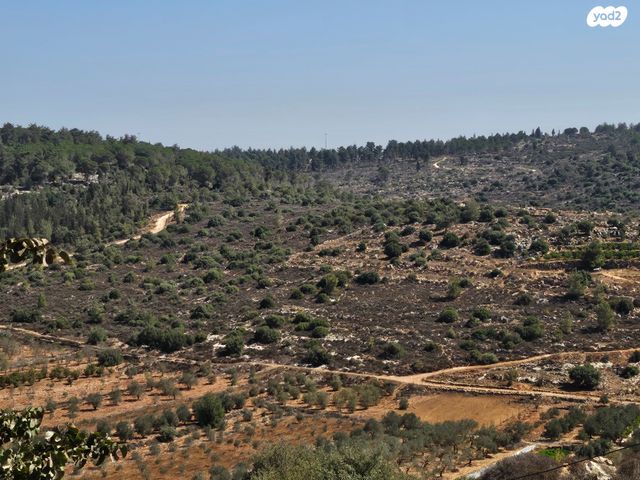 גג/ פנטהאוז, אנפה, סנסן, צור הדסה