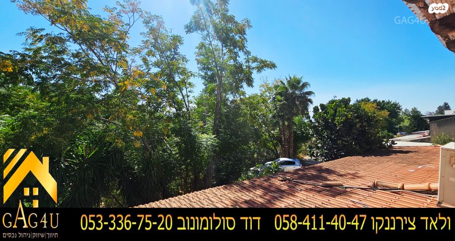 דירה, הנשיאים, רמת אשכול, מגדל העמק