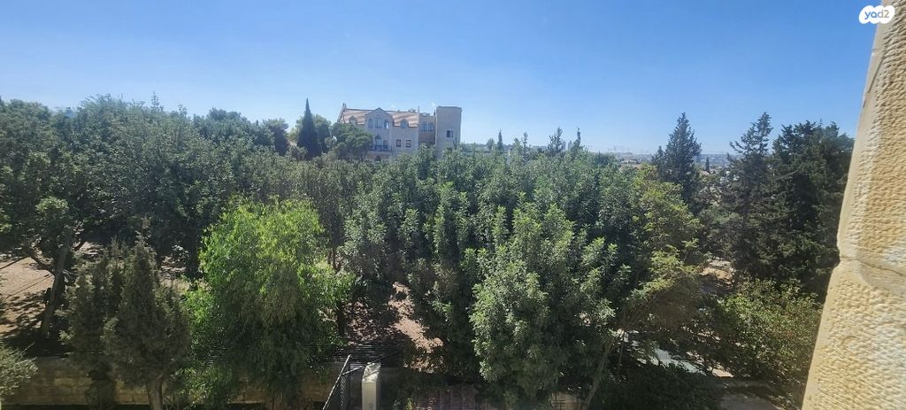 דופלקס, עמינדב, גבעת חנניה, אבו תור, ירושלים