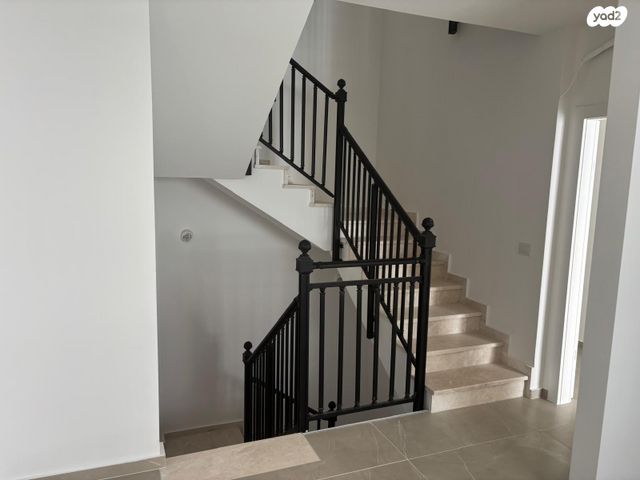 טריפלקס, צופים, צופים